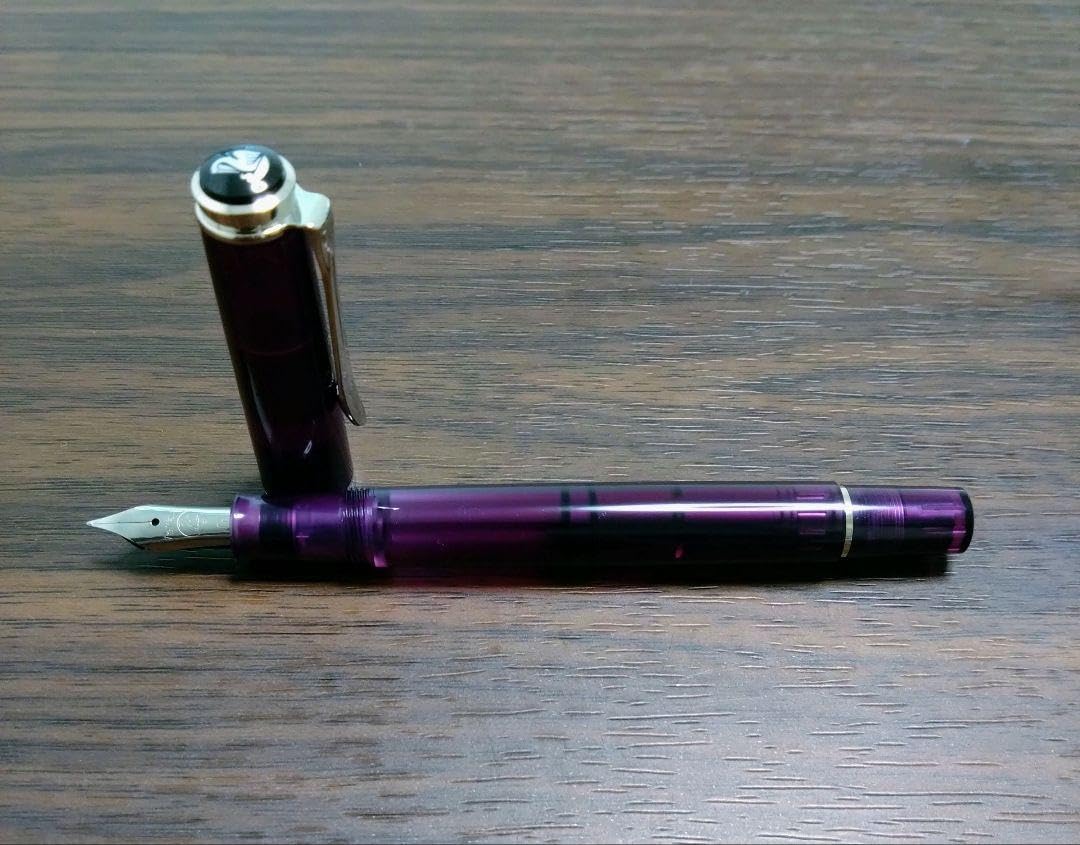 ⭐️新品未使用⭐️【ペリカン】特別生産品クラシックM205アメジスト
