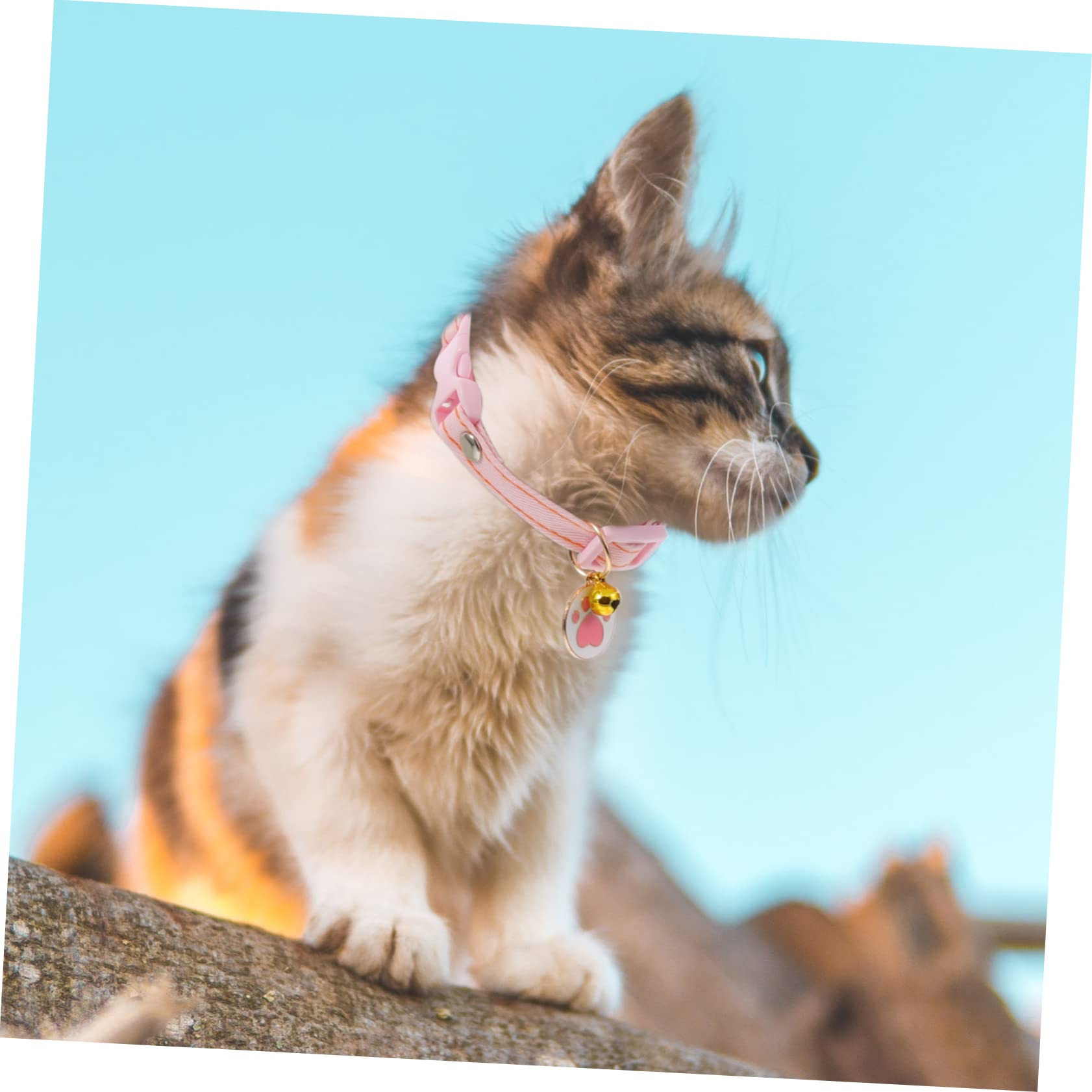 VANZACK 12pièces Collier Adorable pour Chat avec Clochette Accessoire Amusant pour Chats Et Petits Animaux Réglable Et Sécurisé pour Événements Festifs Et Activités Quotidiennes