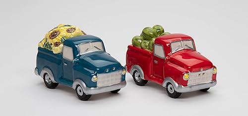 Juego de salero y pimentero de cerámica fina con girasoles y sandía, 3-58" L