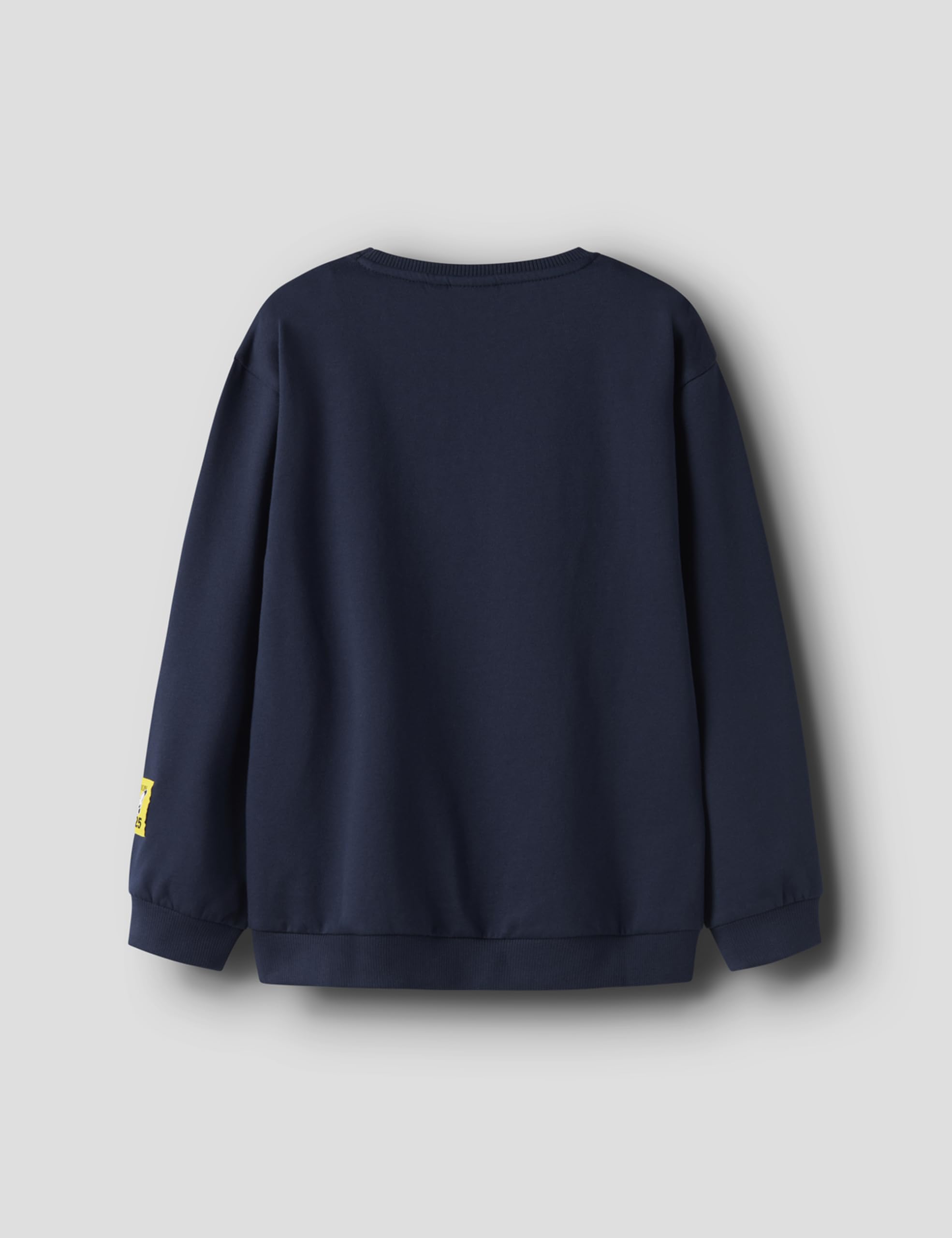 NAME IT Nkmjobi Pokemon Nreg Sweat UNB Box Sky Nkmjobi Pokemon Nreg Sweat UNB Box Sky Niños (Pack de 1)