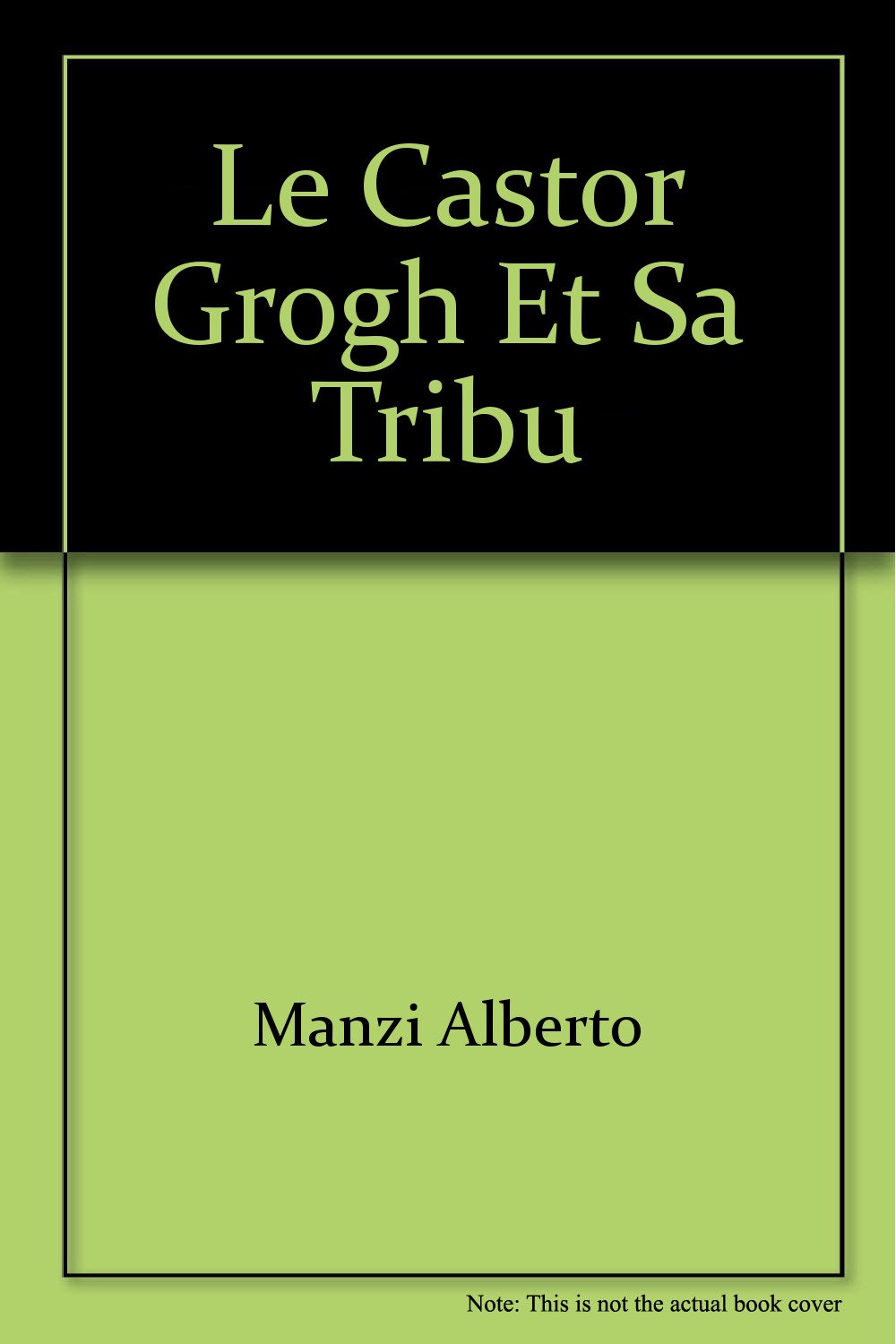Le Castor Grogh et sa tribu [Mass Market Paperback] MANZI Alberto