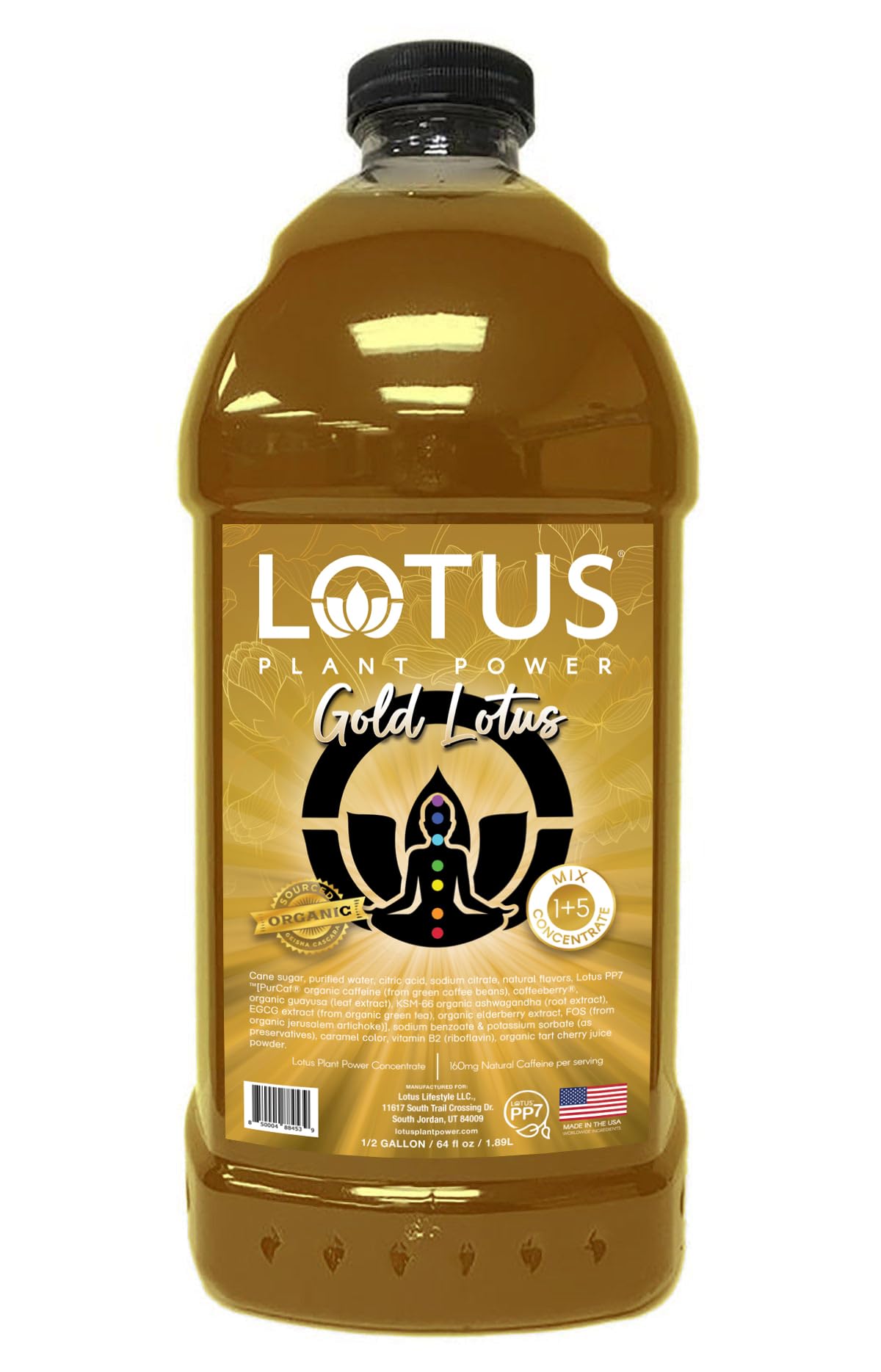 Gold Lotus Plant Energy Drink Concentrate | Pure Cane Sugar | 64 fl oz | 1:5 | Natural Caffeine from Green Coffee Bean