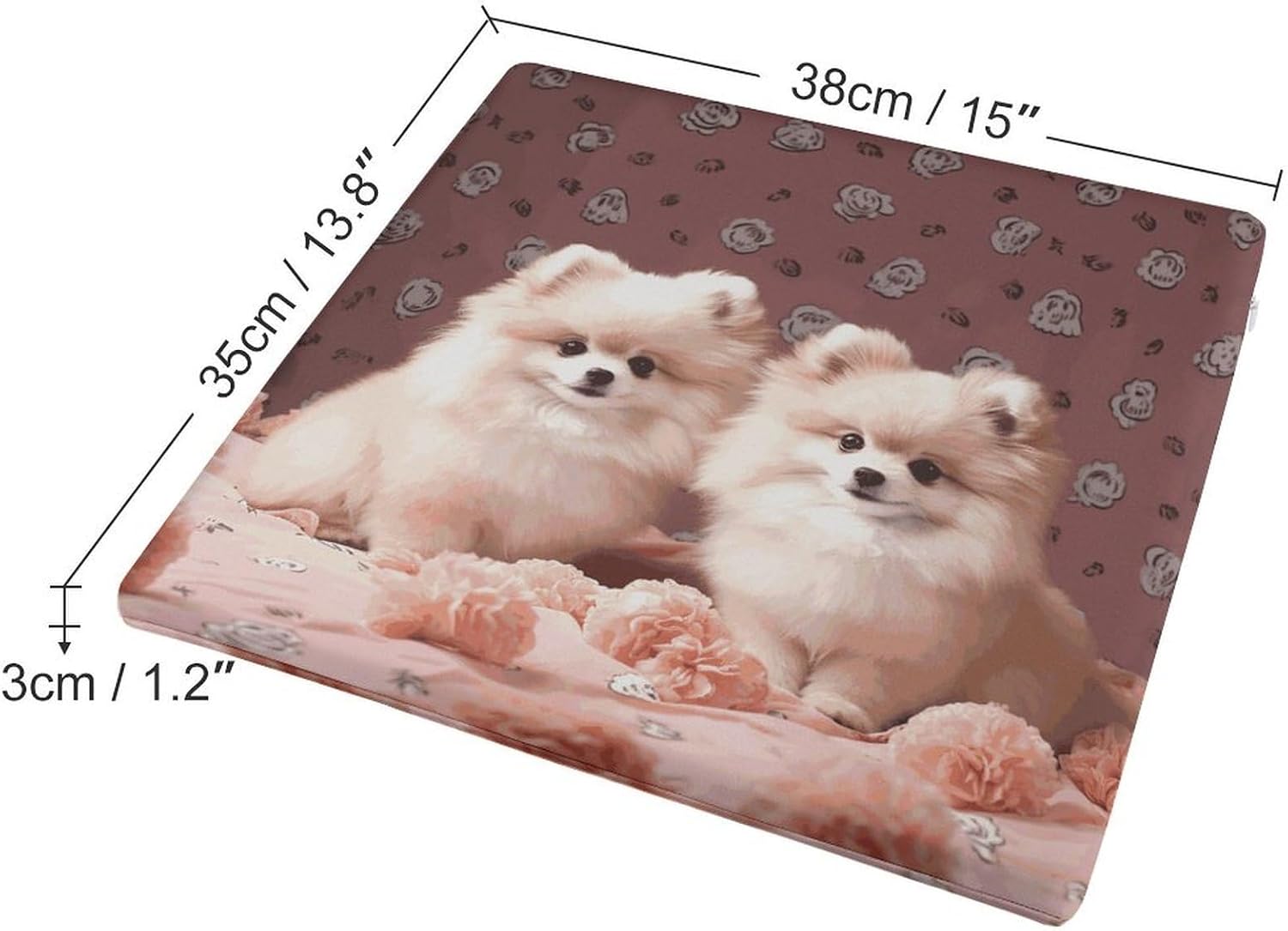 Pomeranians Puppies And Point Chair Cushion Floor Pillow Stool Cushion | Cushions with Removable Cover with Square Memory for for Chair Living Room Balcony Office Sofa,13.8*15*1.2 Inch