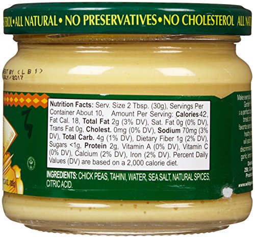 Wild Garden Hummus Dip - Traditional - 10.74 oz