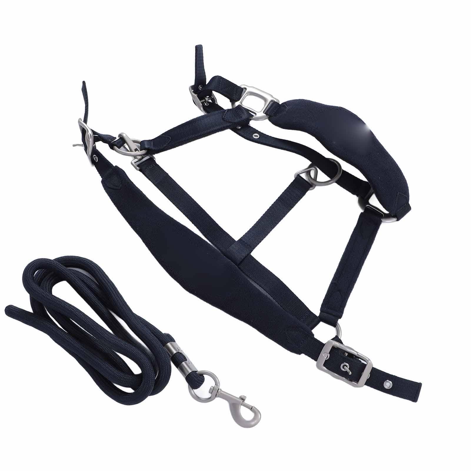 Asixxsix Cabestro de Caballo Ajustable, Banda para la Nariz Acolchada, Cojín para la Cabeza, Cabestro de Entrenamiento de Poliéster con Correa de 2 M, para
