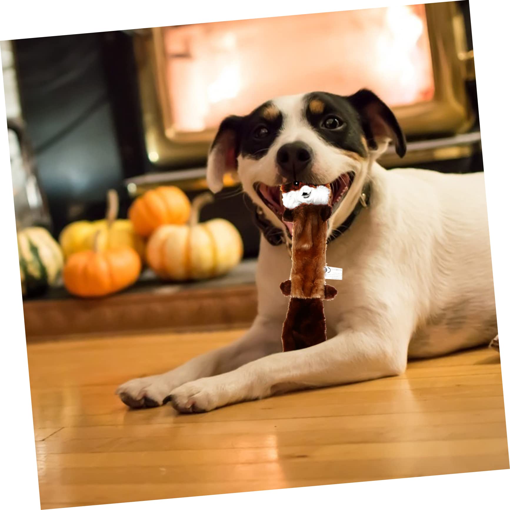 Sosoport 9stücke Teiliges Plüschspielzeug Für Hunde Langlebig Füllung Kauspielzeug Für Welpen Zur Beschäftigung Für Sicheres Spielen