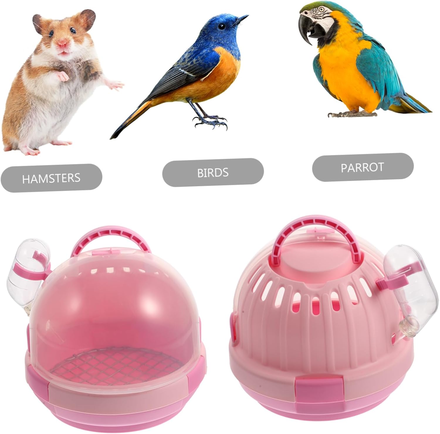 Kisangel 1set Portable Handheld Bird Carrier Transparent Design Detachable Base Vented for Air Circulation for Parrots Birds and Animals Capsule Galvanized Mesh Pad