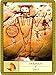 The Shaman's Oracle: Oracle Cards for Ancient Wisdom and Guidance