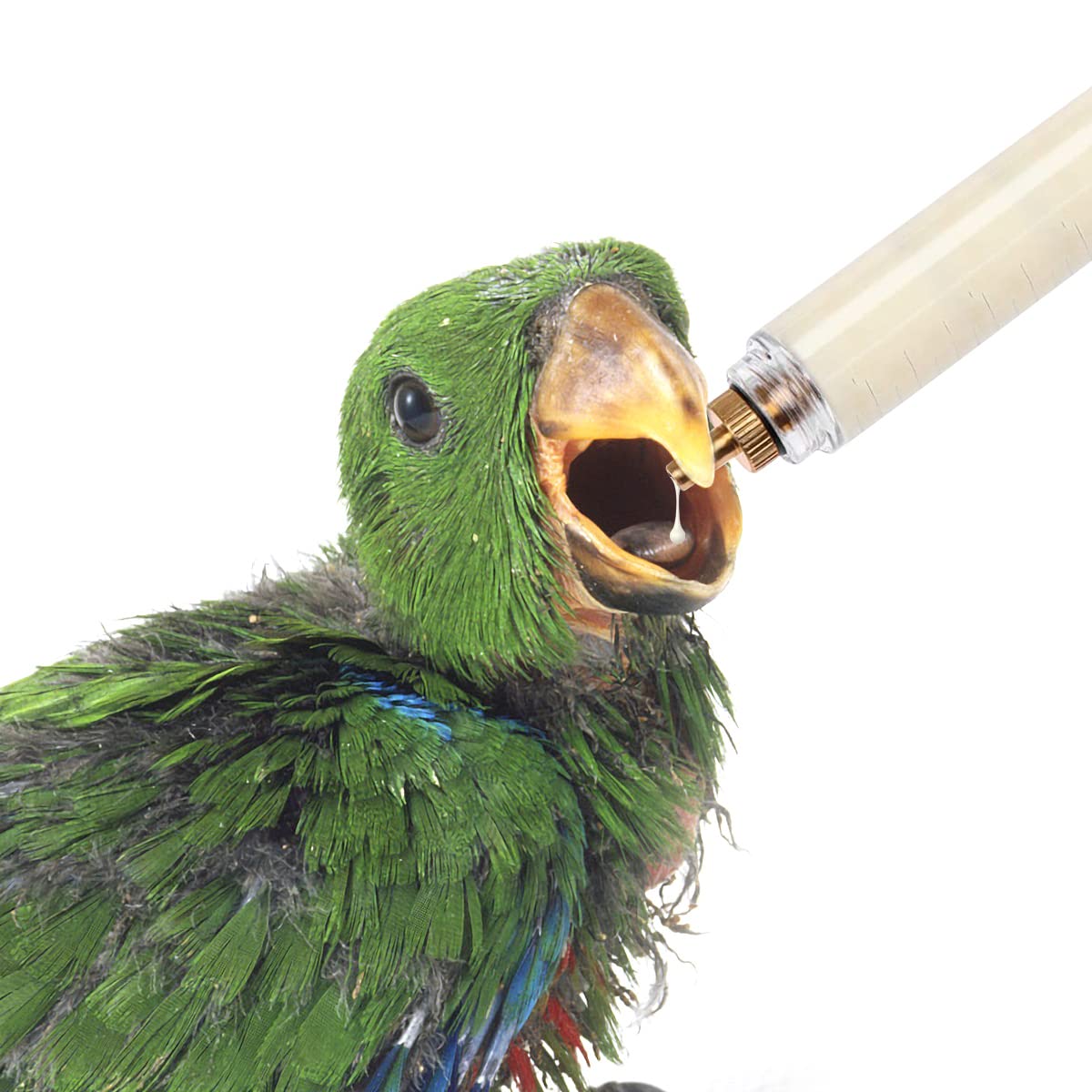 3 Juegos de Jeringuillas de Alimentación para Pájaros, Kit de Jeringa Alimentaria para cría a Mano de Pájaros, Jeringa 10ml, 20 ml, 50ml con 6 Tubos de Cosecha.