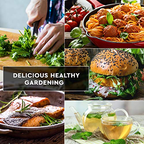 12 Culinary Herb Seeds Pack - Heirloom And Non Gmo, Grown In Usa - Indoor Or Outdoor Garden - Basil, Parsley, Dill, Cilantro, Rosemary, Mint, Thyme, Oregano, Tarragon, Chives, Sage & More #TOP5