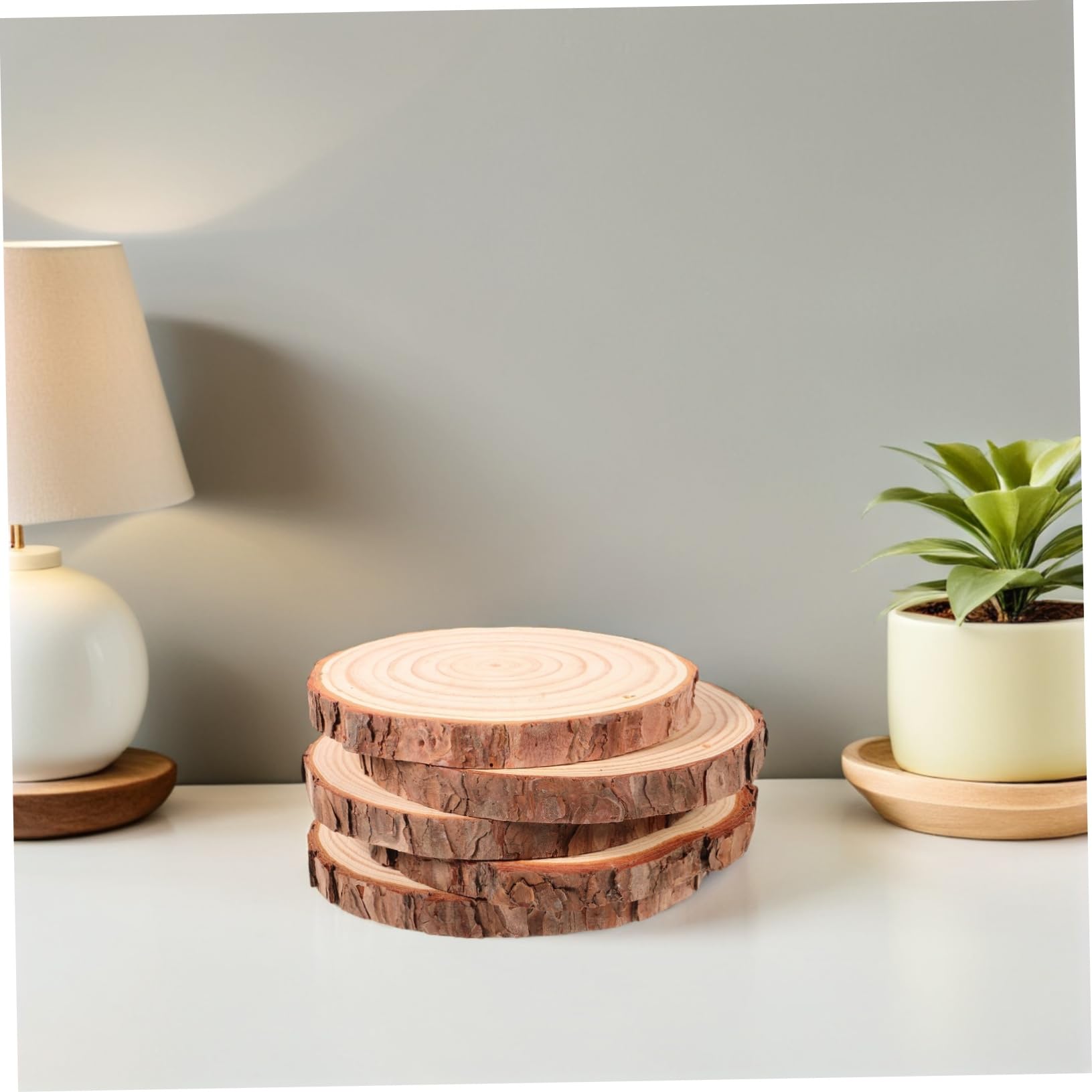 Gadpiparty 5pezzi Fette Di Legno Grezzo Rotonde Per Decorazioni Fai Da Te Dischi Di Legno Per Artigianato Superficie Liscia Per Dipingere
