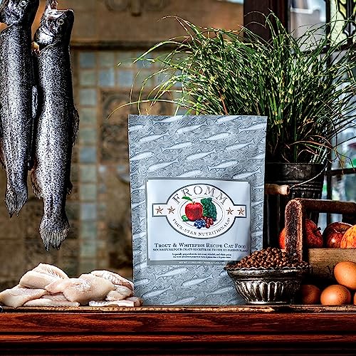 Fromm Four-Star Nutritionals Trout & Whitefish Cat Food - Premium Dry Cat Food - Trout Recipe - 4 Lb #TOP7