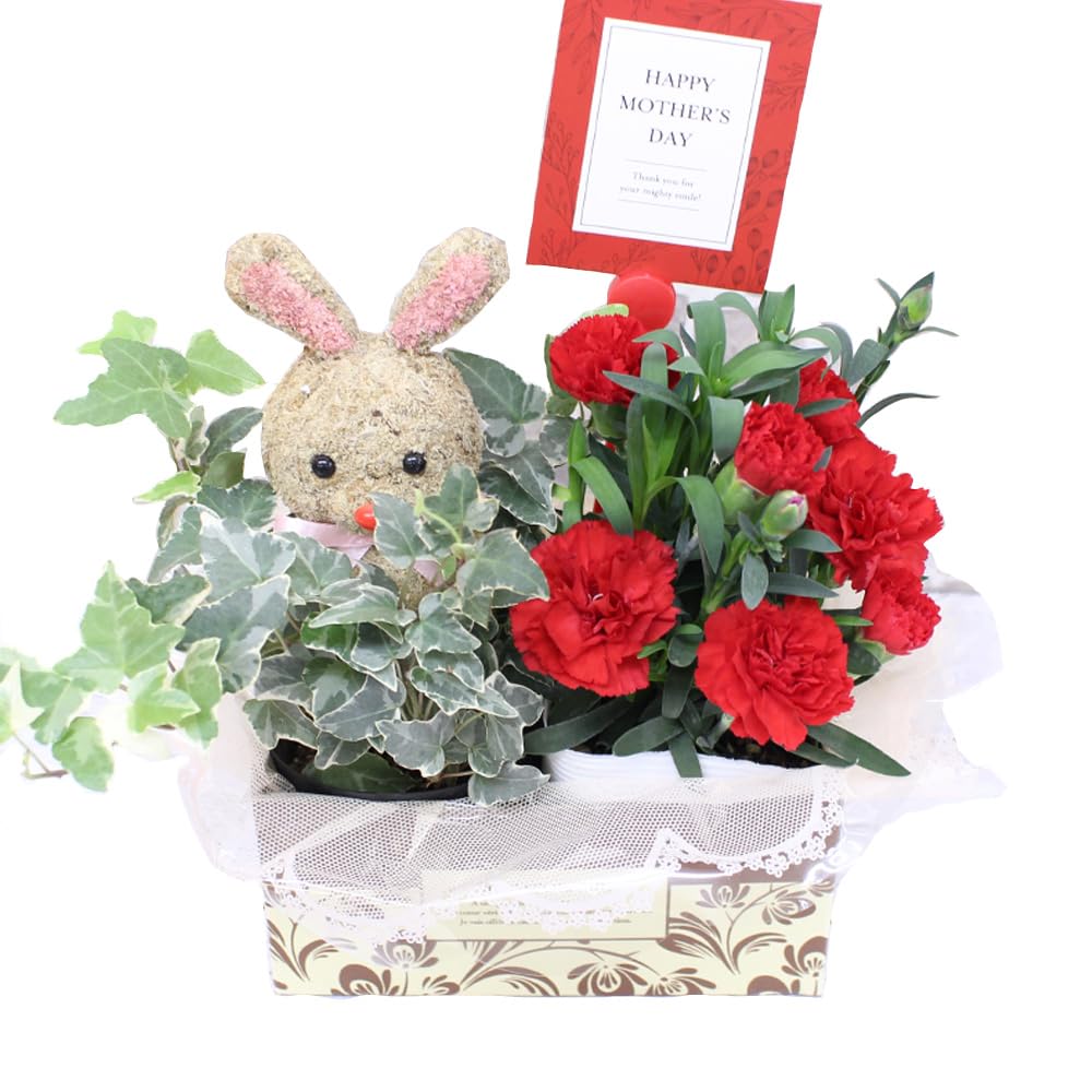 Amazon｜カーネーション アニマルトピアリー プレゼント 花 母の