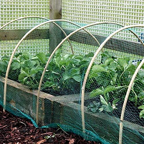 Garden Mile Mesh Netting Bird Fruit Fencing, Pest Protection with Bamboo Frame for Fruiting Plants Ponds keep Animals off Fruit Trees (20 x Bamboo Canes 120cm)