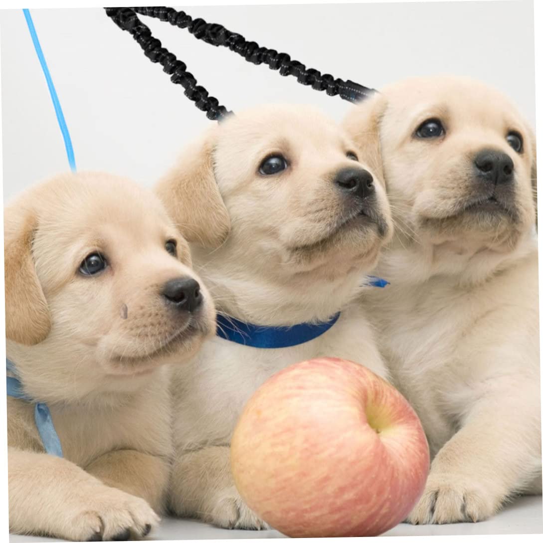 Guinzaglio per Cani Doppio guinzaglio per Animali Domestici Che assorbe Gli Urti guinzaglio Riflettente per 2 Cani per Uso Domestico