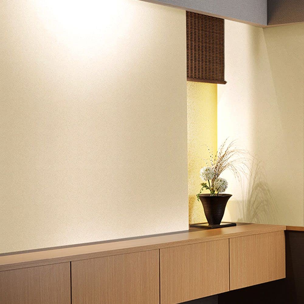 もりのおかさま専用 Hayabusa ハヤブサ/Hayabusa オモリグ スピーディーフォール