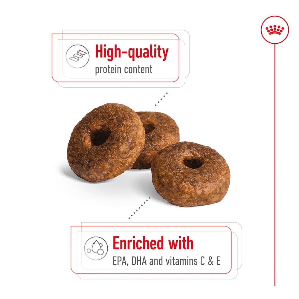 Royal Canin Size Medium Ageing 10+, 1er Pack (1 x 15 kg)