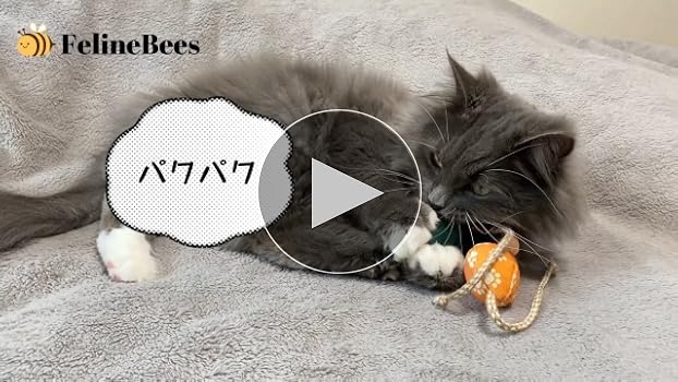 Amazon | FelineBees(フィーラインビーズ) チュルルン 歯磨き
