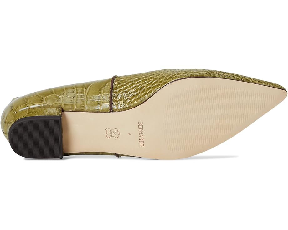 Bernardo Lana - Bottom View