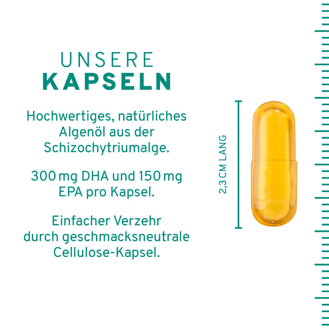 InnoNature Omega3 2:1 DHA/EPA | natürlich aus der Mikroalge Schizochytrium | 60 kapseln, 300 mg DHA und 150mg EPA | vegane Omega3 Kapseln, laborgeprüft