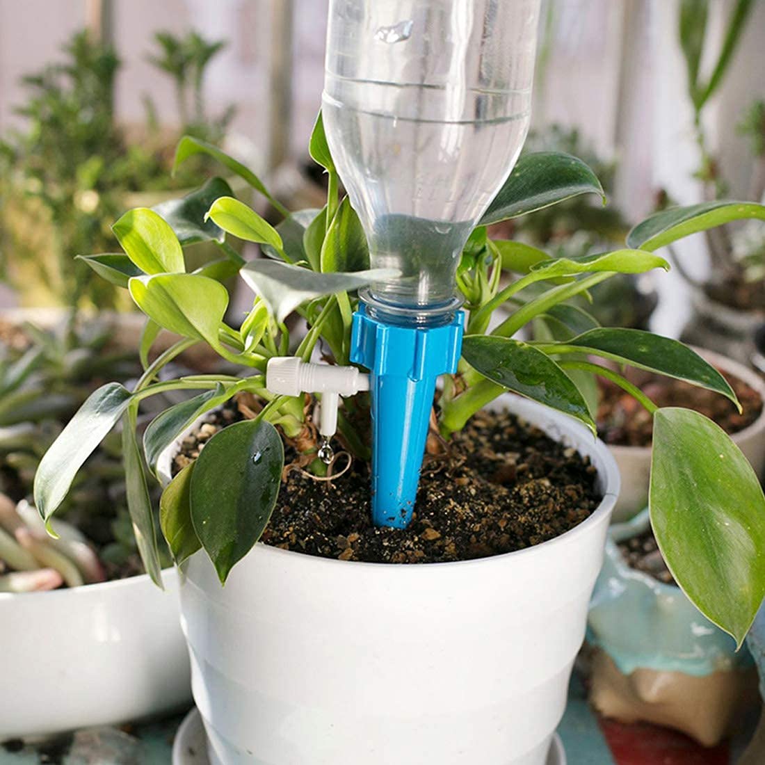 MyOwnGarden Drip Irrigation Set of 5 kit for Home Garden, Self-Watering Spikes for Plants, Automatic Plant Water Devices with Slow Release Control Valve Switch drip Irrigation System (B0BJFD84XP) Amazon Price History, Amazon Price Tracker