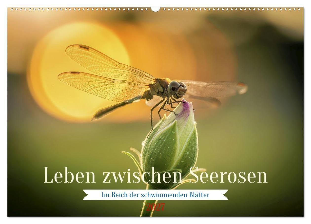 Leben zwischen Seerosen (Wandkalender 2027 DIN A2 quer), CALVENDO Monatskalender: Im Reich der schwimmenden Blätter.