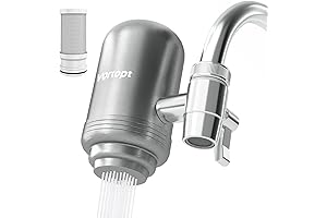 T2 Purificador de água para casa de aço inoxidável