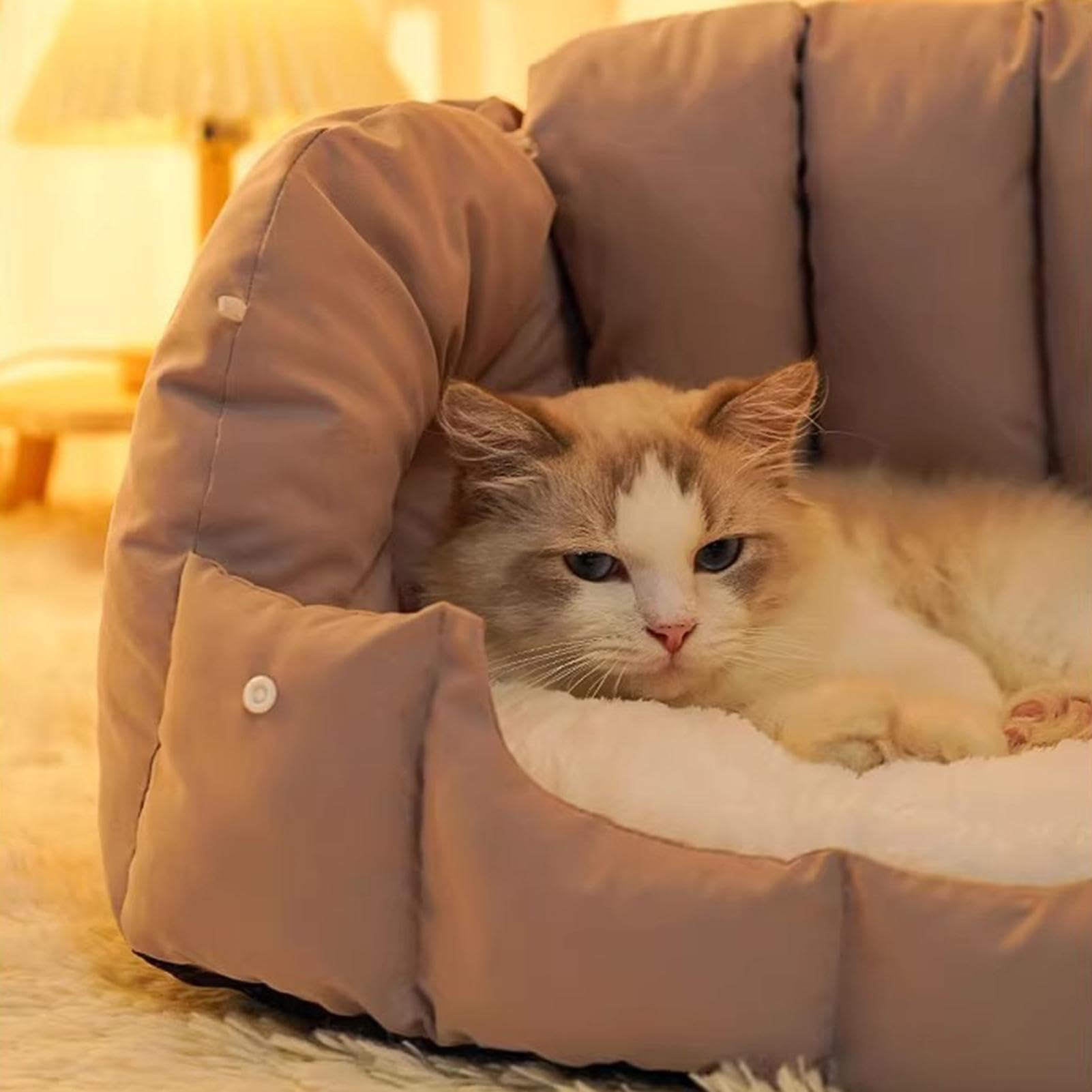 Letti per gatti Grotte, Divano per gatti Letti per gatti chiusi pieghevoli | Forniture per animali domestici antiscivolo rimovibili Lavabile Comodo di