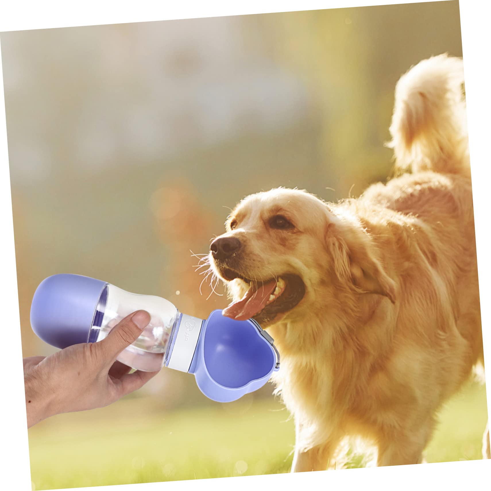minkissy 5stücke Trinkflasche Für Hunde Tragbare Wasserflasche Mit Auslaufsicherem Design Für Unterwegs Camping Und Outdoor-aktivitäten -frei Bequem Für Welpen Und Kleine Hunde