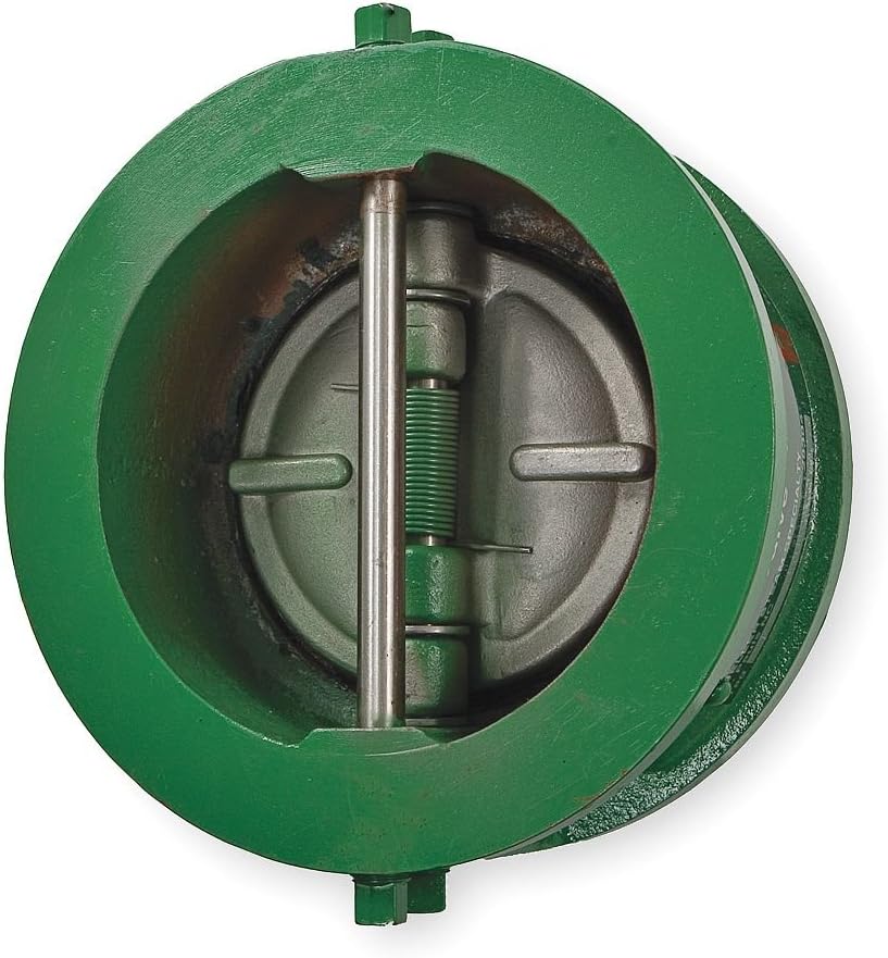 Double Disc Check Valve, Cast Iron, 3 in.