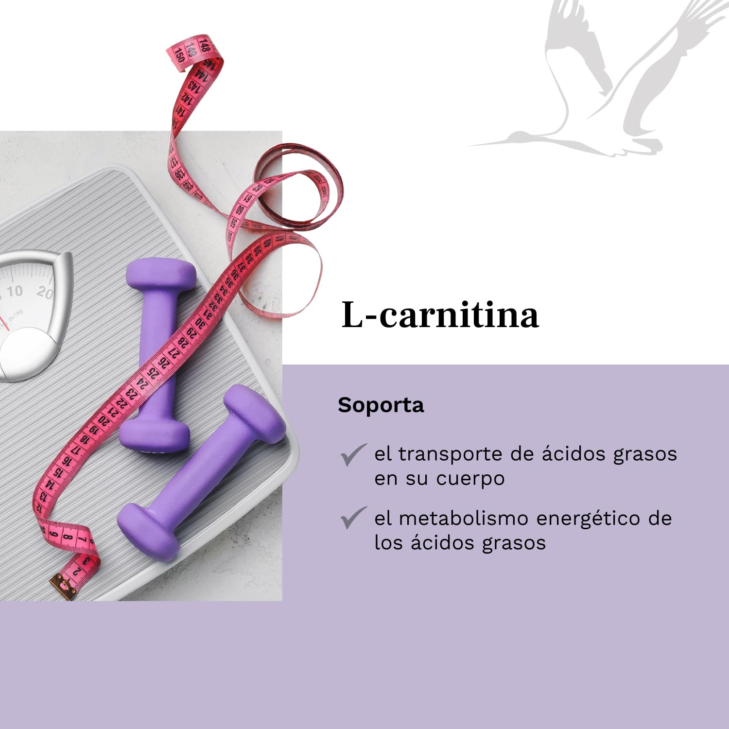 L-Carnitina Alta Dosis - 2000 mg - Premium: Carnipure® por el Lonza - 120 cápsulas vegetales - Probado en laboratorio - Sin aditivos - Made in Germany - Balanced Vitality