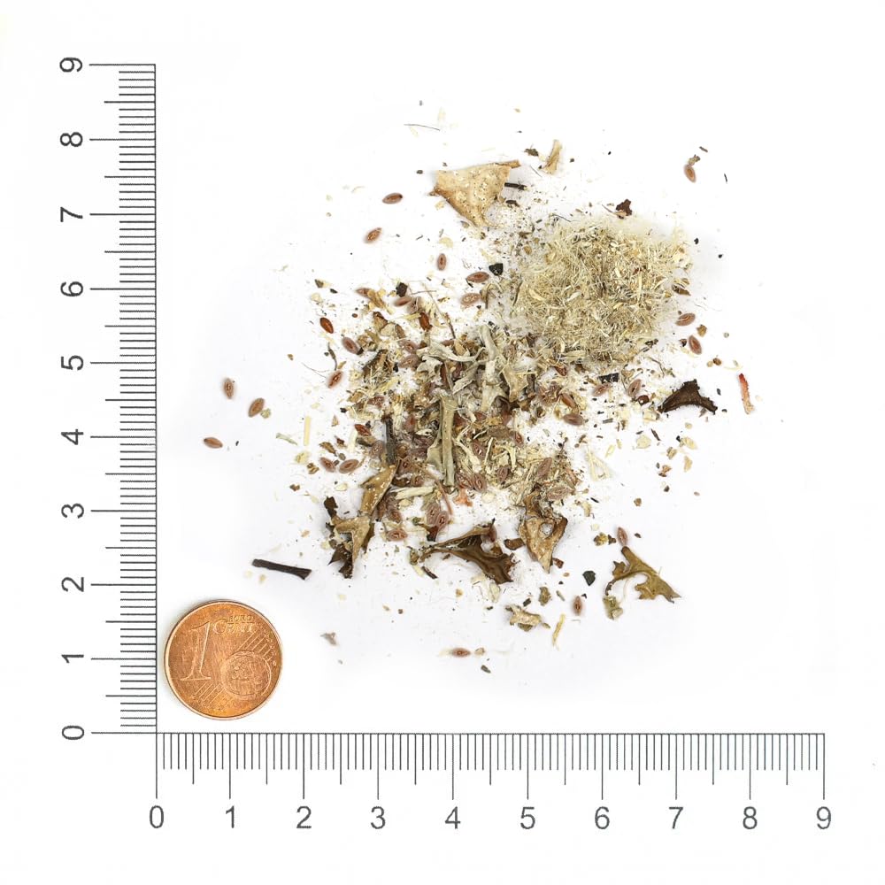 Krauterie Magen Kräuter No. 2 für Pferde (2000 g) | Artgerechtes Ergänzungsfutter für Pferde in Spitzenqualität - frei von Zusatzstoffen, getreidefrei, zuckerfrei, melassefrei