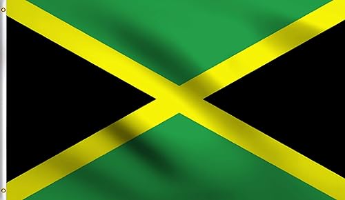 Miniatura 120 de DMSE Bandera de Sierra Leona 3X5 Pies 100% Poliéster Bandera 100D