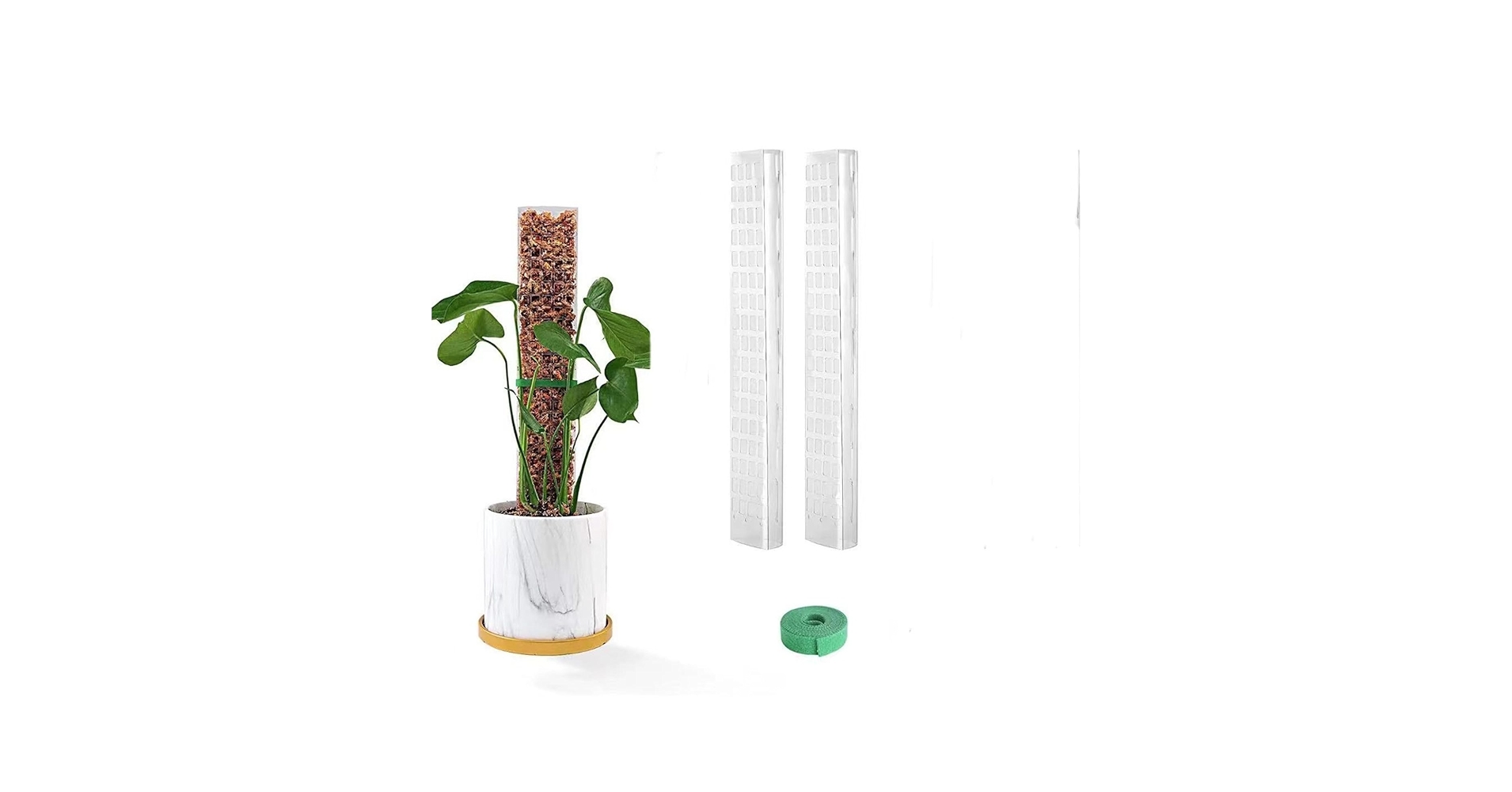 モスポール　水苔入り済 生産プロの秘訣　植物用上り棒180本まとめ29cmサイズ モスポール（モンスターポール）水苔入れアロイドを登らす棒