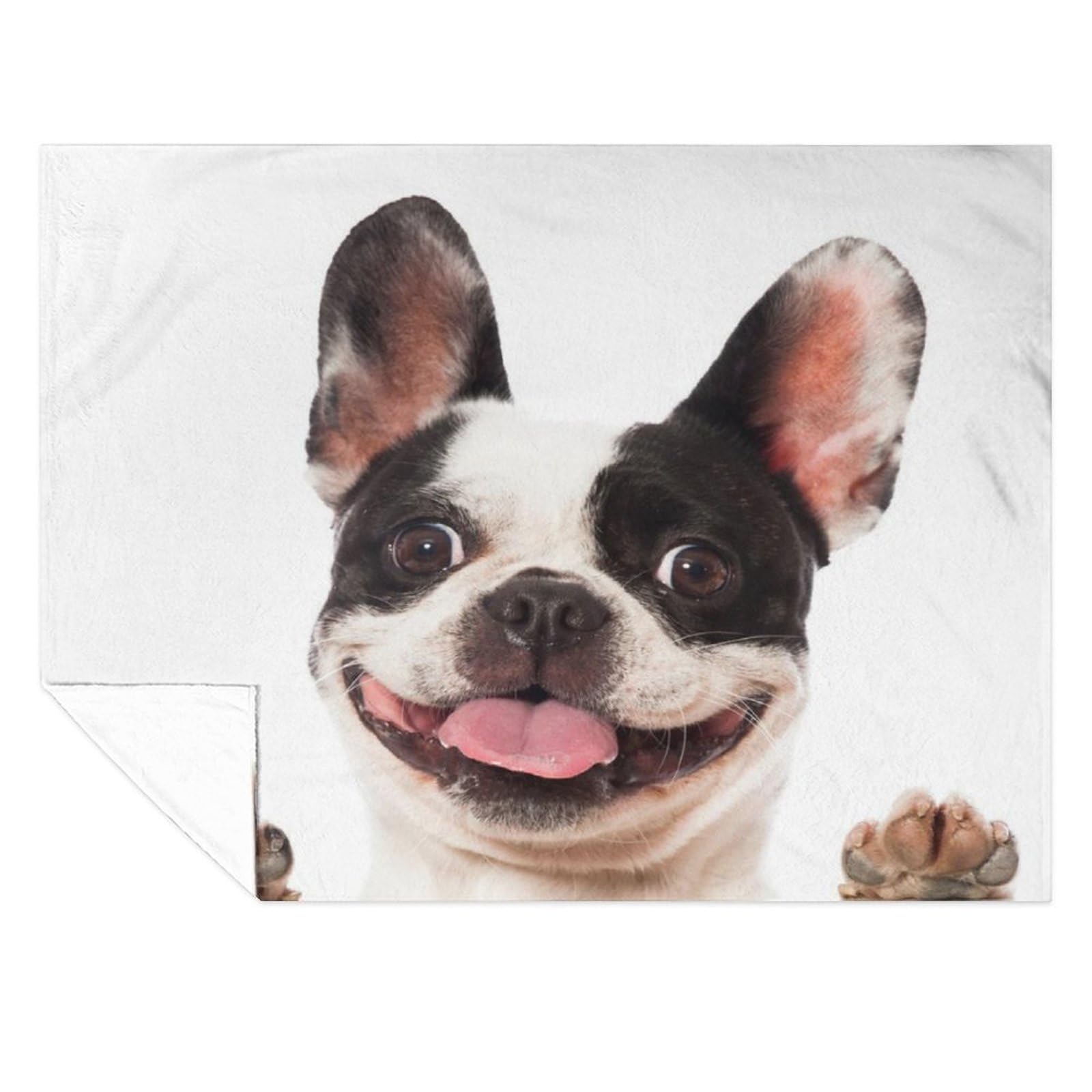 ALIFAFA Bulldoggen-Überwurfdecke – 127 X 101,6 Cm, Buntes Kunst-Design, Weicher Plüsch