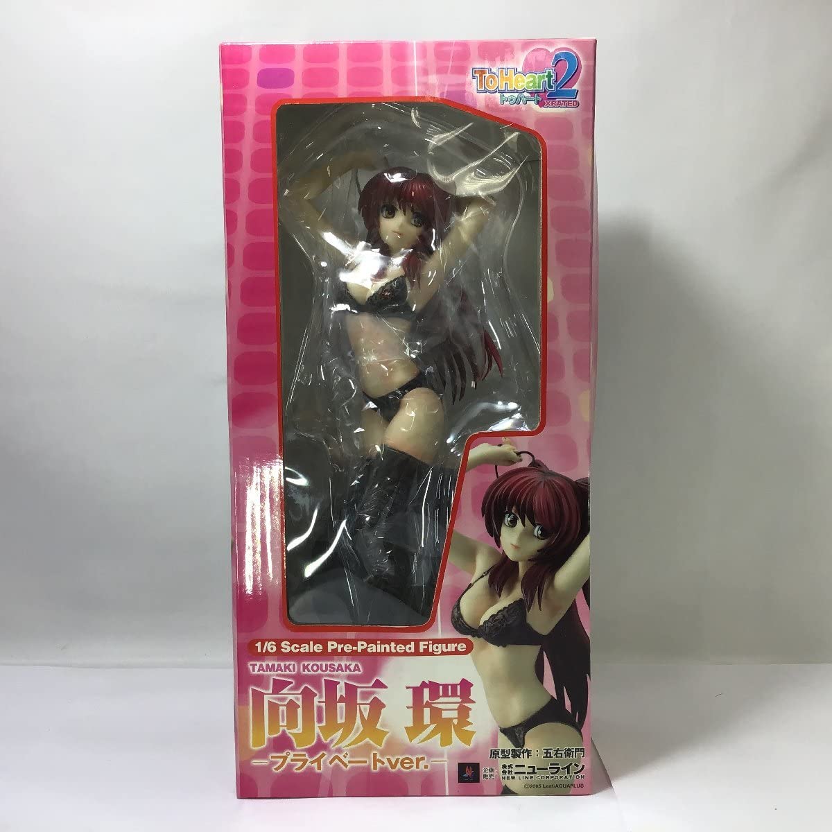 向坂 環 1/6スケール プライベートver. イワサワ限定網タイツ版 Amazon.co.jp: 向坂環 プライベートVer. ToHeart2 XRATED 1/6 スケール
