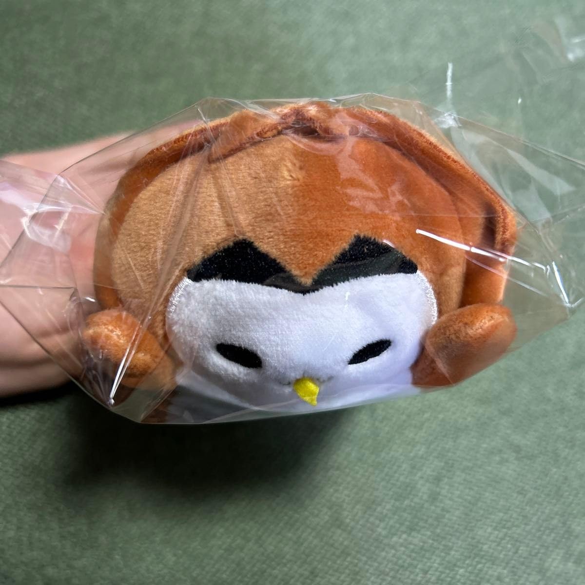 ハイキュー だるぬい 赤葦 Amazon.co.jp: ハイキュー だるぬい 赤葦フクロウ 赤葦京治