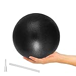 LAYXL 9 Inch Exercise Pilates Ball Mini Exercise Barre Ball for Yoga,Stability Exercise Training Gym Anti Burst and Slip Resistant Balls Physical Therapy Improves Balance, Core Strength, Back Pain