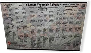 Vegetable in-Season Calendar Refrigerator Magnet: Monthly Seasonal Produce Guide & Chart with 50+ Vegetables