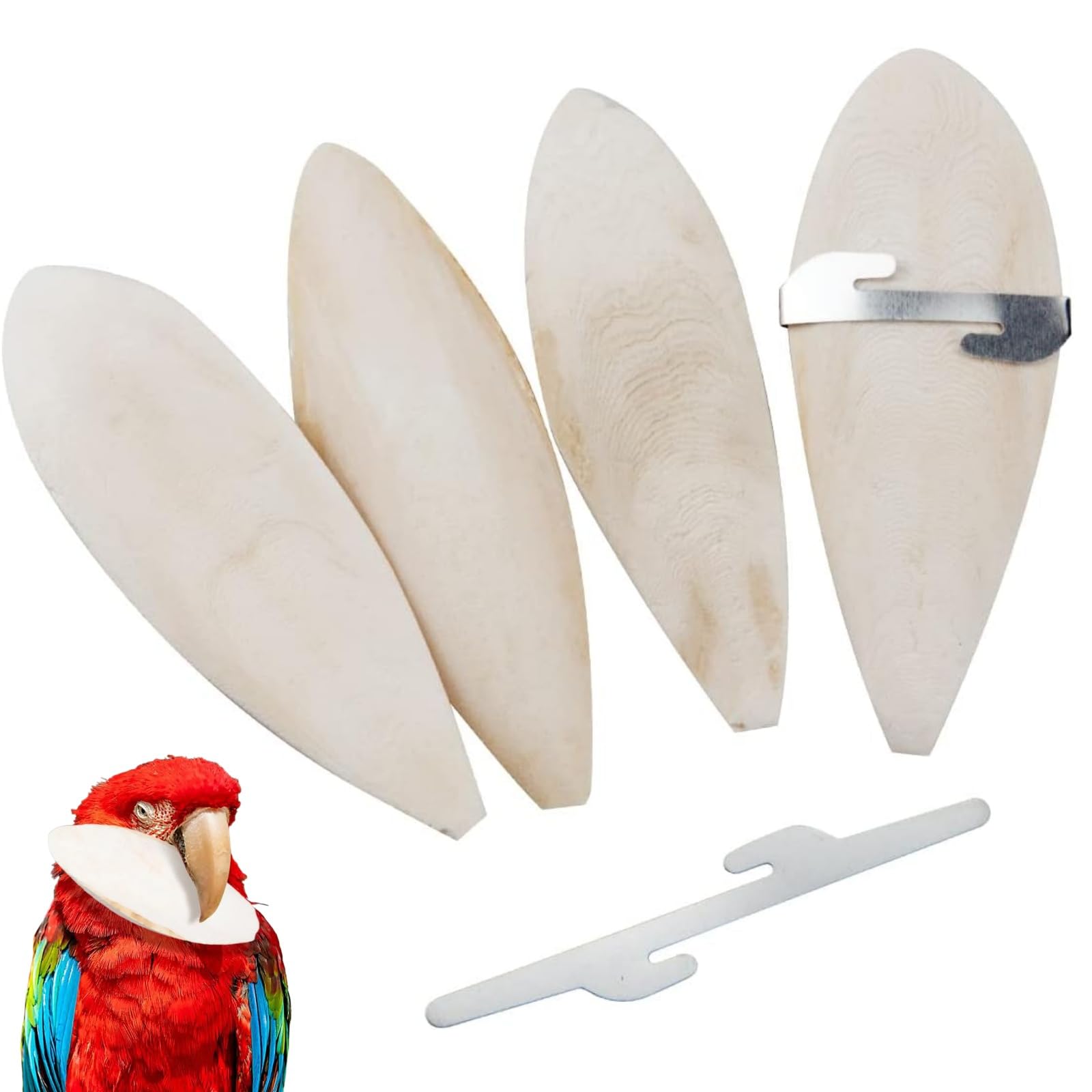 Gerhua 4 PCS Cuttlefish Bone(8-10cm) with 2Pcs Metal Holder,Natural Cuttlefish Bone for Birds & Tortoises,Finches,Budgies,Chew & Calcium for Reptiles,Beak Trimming & Pet Bird Accessories