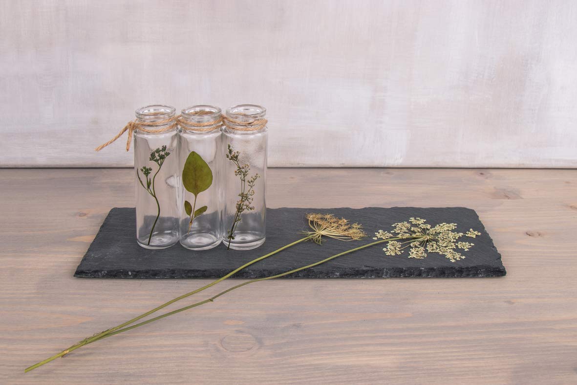Rayher Kit de prensado de flores, 21x30 cm, para hojas y flores secas, 27000505