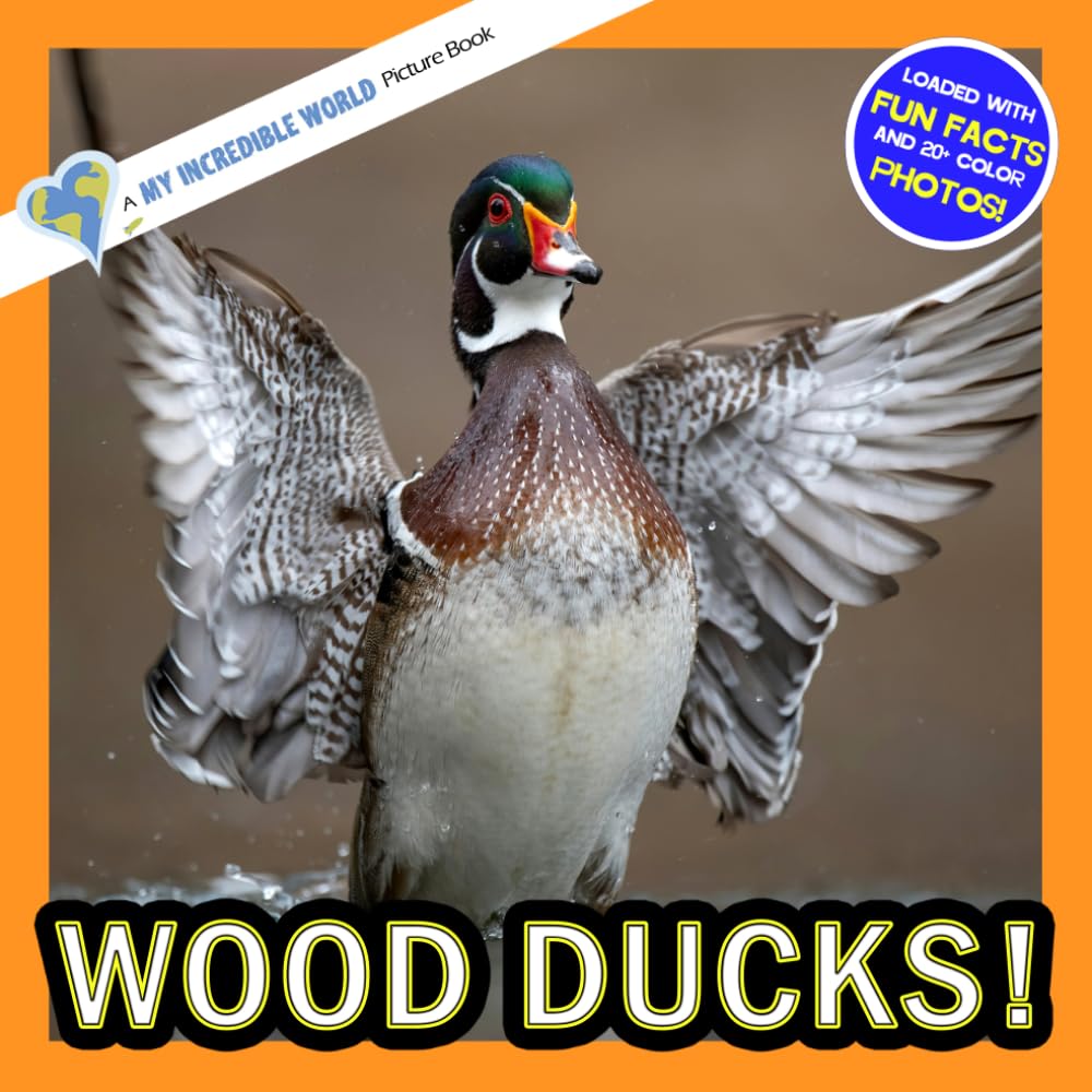 Wood Ducks!: A My Incredible World Picture Book for Children (My Incredible World: Nature and Animal Picture Books for Children)