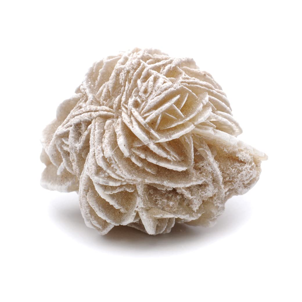 Amazon.co.jp: デザートローズ メキシコ産 Sサイズ 30-60g前後