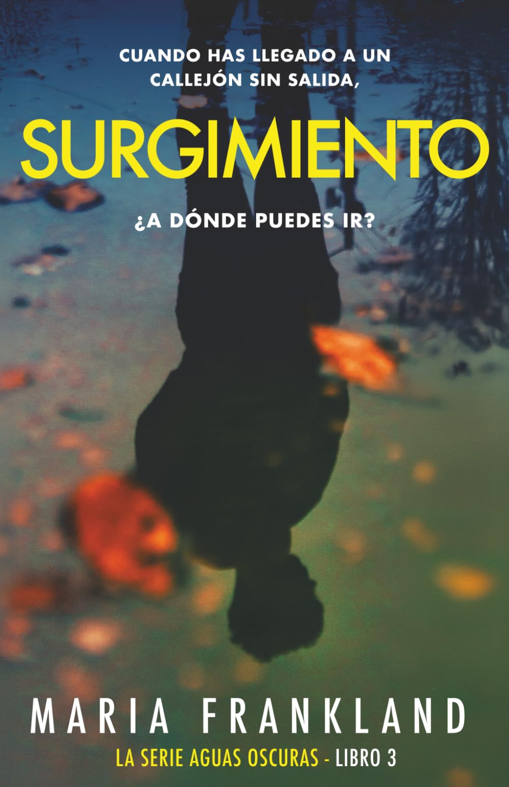 Surgimiento: Cuando has llegado a un callejón sin salida, ¿a dónde puedes ir? (La Serie Aguas Oscuras)