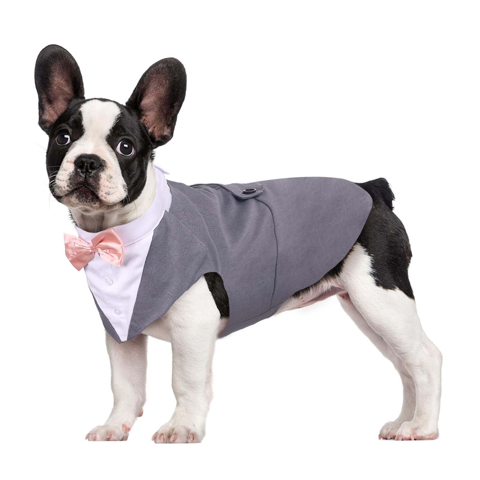 Kuoser Traje de Esmoquin y Bandana para Perro Abrigo Ropa Formal para Mascotas con Pajarita Desmontable Disfraz de Cachorro Camisa para Boda Fiesta de Cumpleaños de Halloween(XS-XXL) Gris