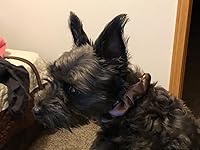 Review Image by Manila Mike Manila Mike