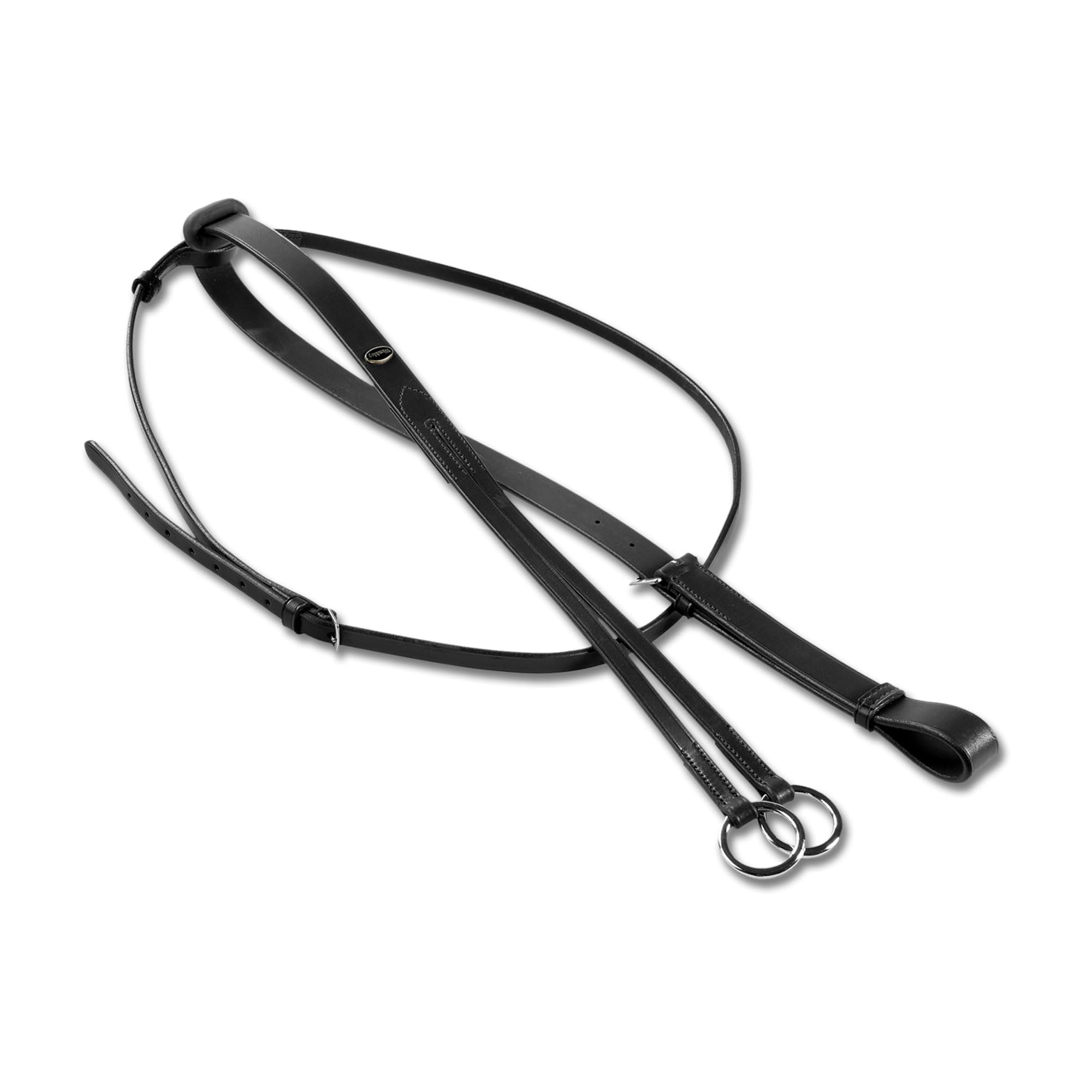 Waldhausen - Martingale Star