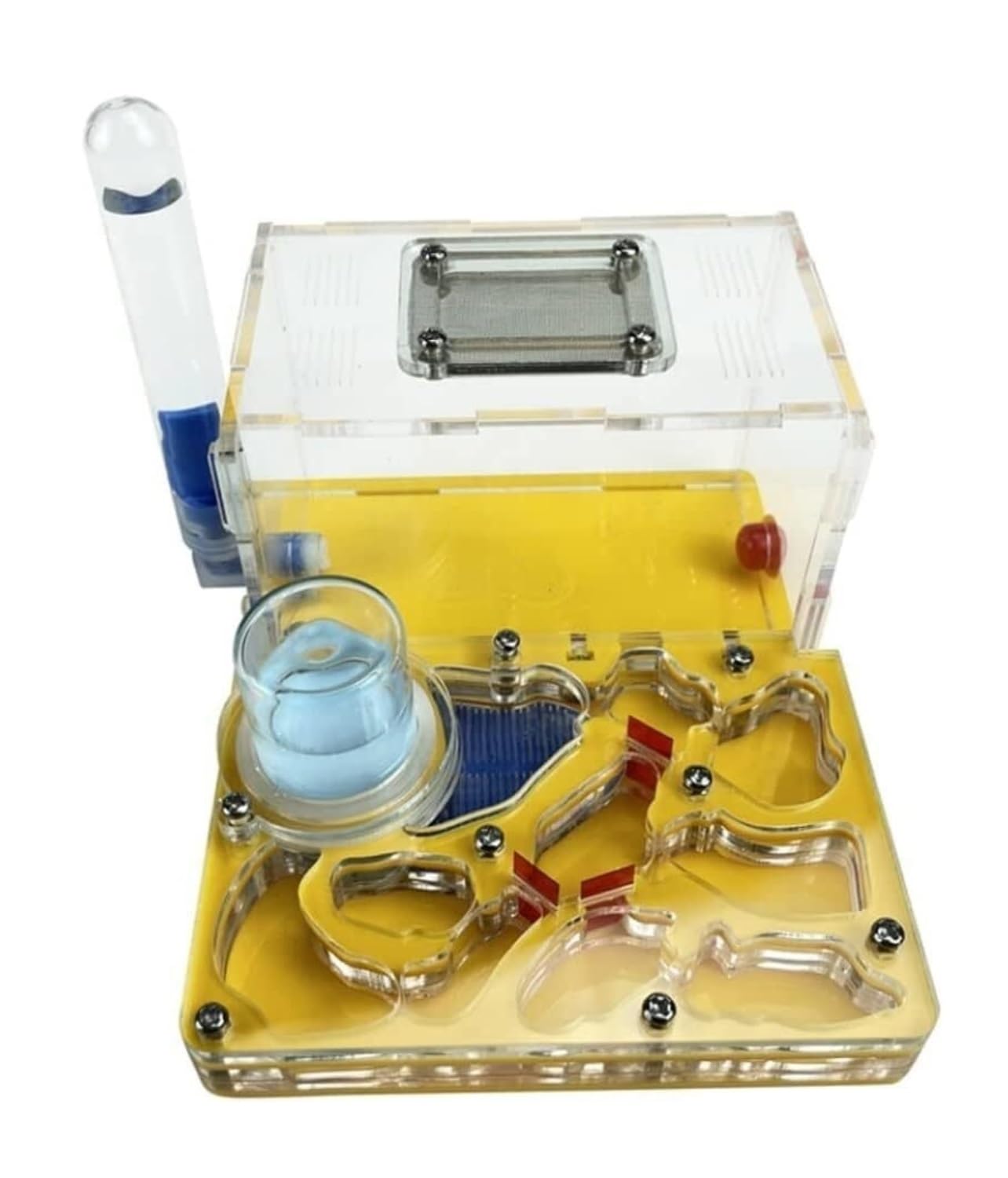 Formicaio Formicaio Acrilico Castello Allevamento Idratante Nido Osservazione Scientifica Fai-da-Te Fattoria Kit Scientifico Formiche Nido(Yellow)