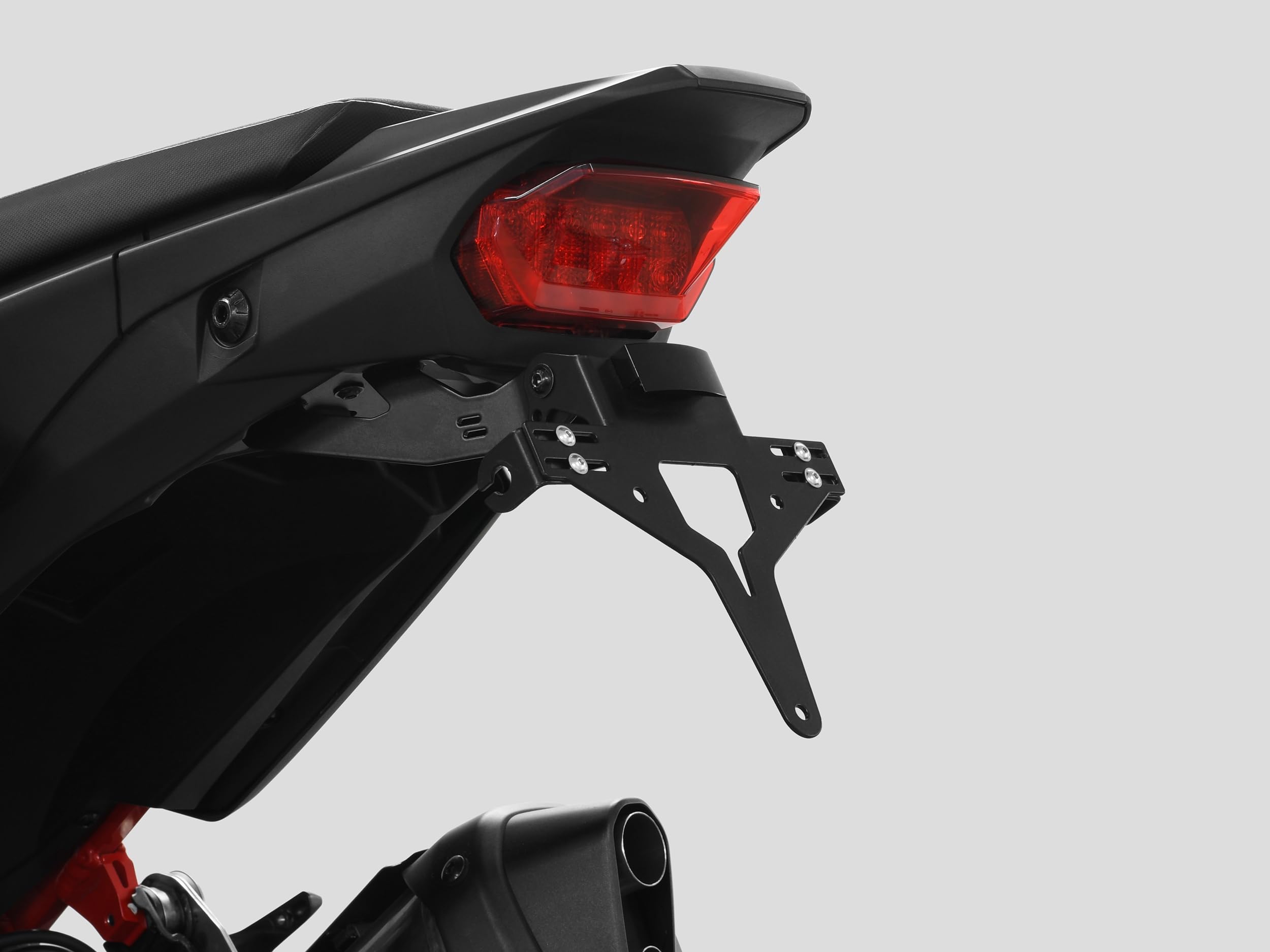 ZIEGER 10007018 - Soporte para matrícula (placa de sujeción, incluye luz de matrícula y reflectores)