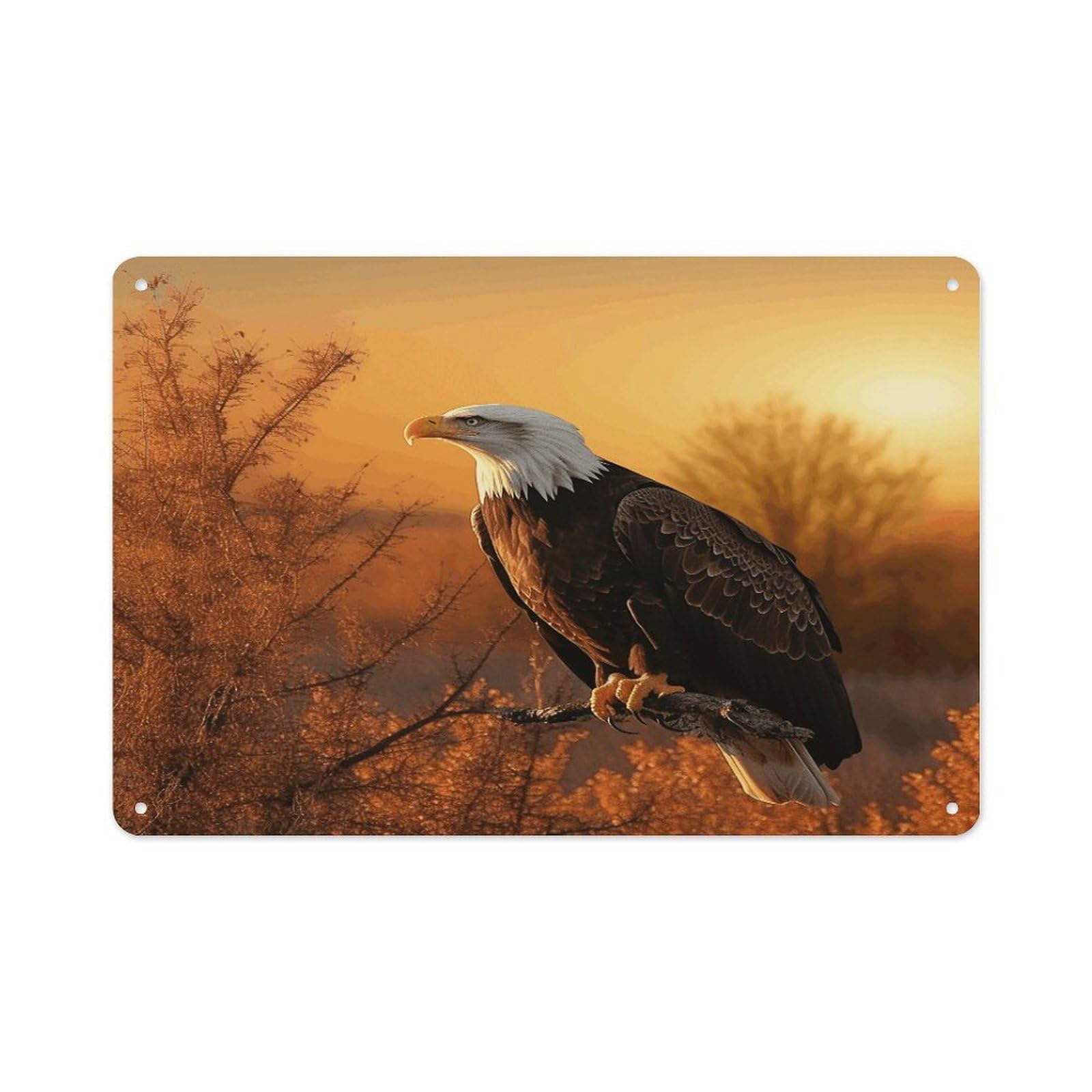 VstaDank Metal Aluminum Golden Sunset Bald Eagle Sign Wall Decor Vintage Metal Sign Plaque Boho Wall Hanging Decor Sublimation Picture Panel Personalized Plaque Poster 8x12in